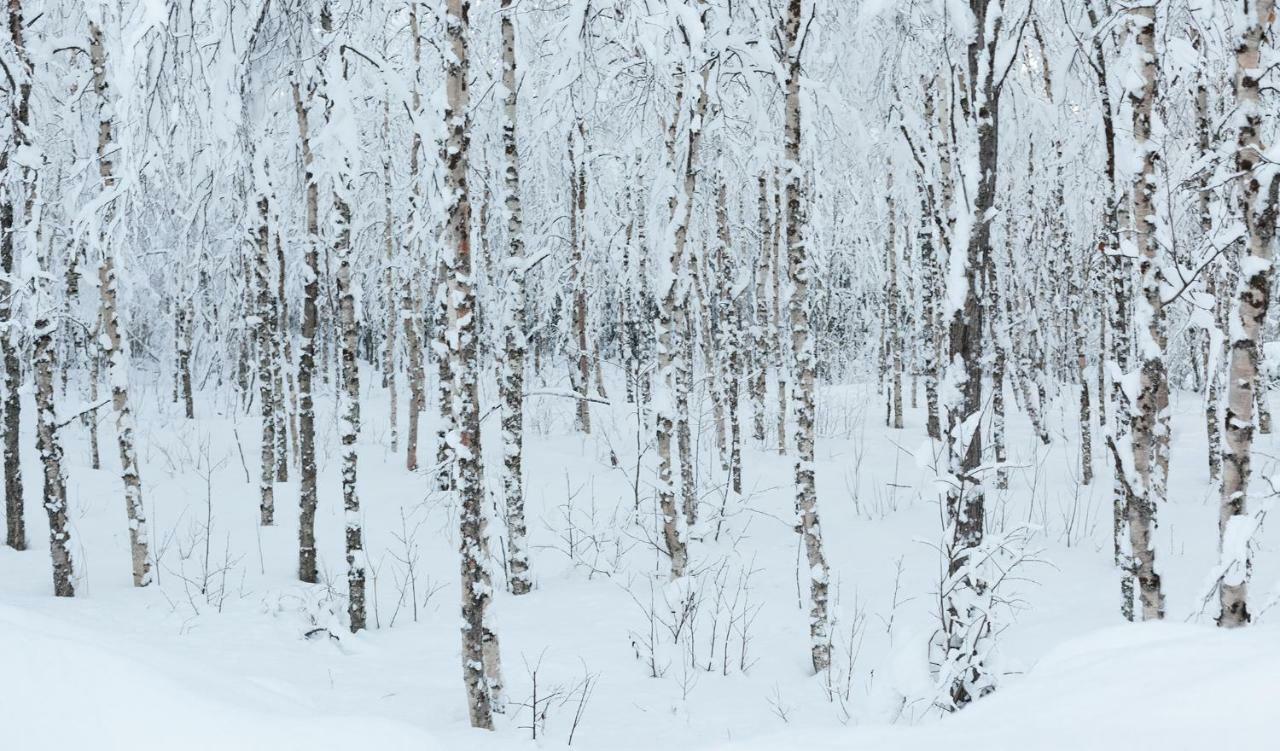 Vila Terra Ultima Rovaniemi Exteriér fotografie
