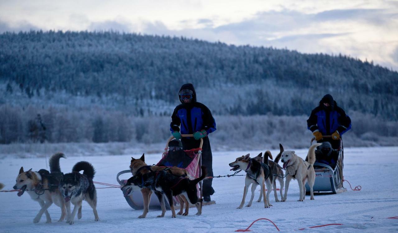 Vila Terra Ultima Rovaniemi Exteriér fotografie