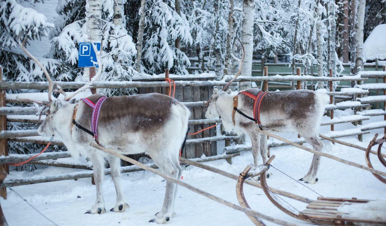Vila Terra Ultima Rovaniemi Exteriér fotografie